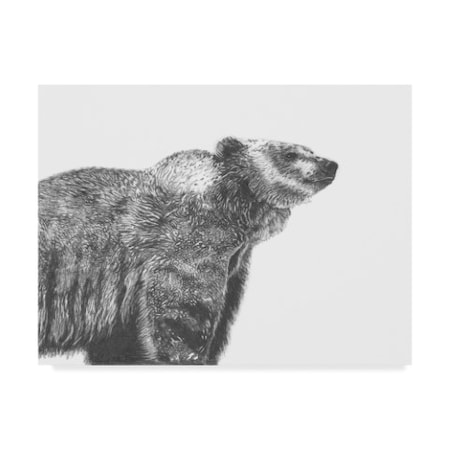 Naomi Mccavitt 'Wildlife Snapshot: Grizzly' Canvas Art,35x47